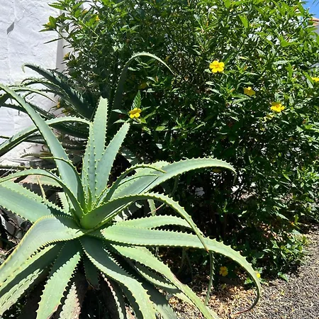 Gala Апартаменты Коральео