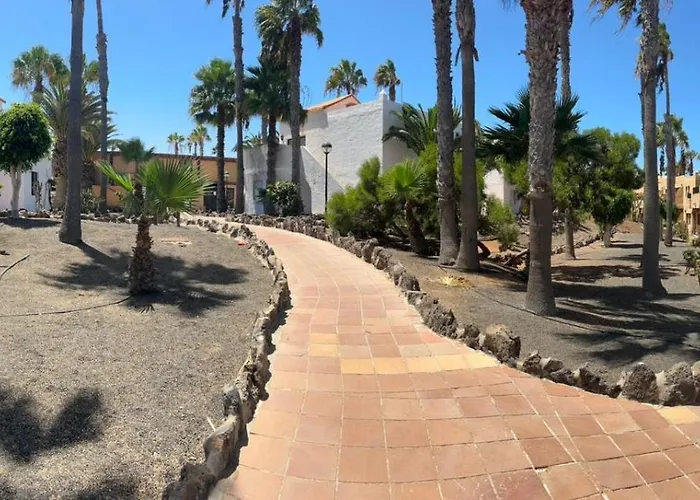 Gala * Коральео