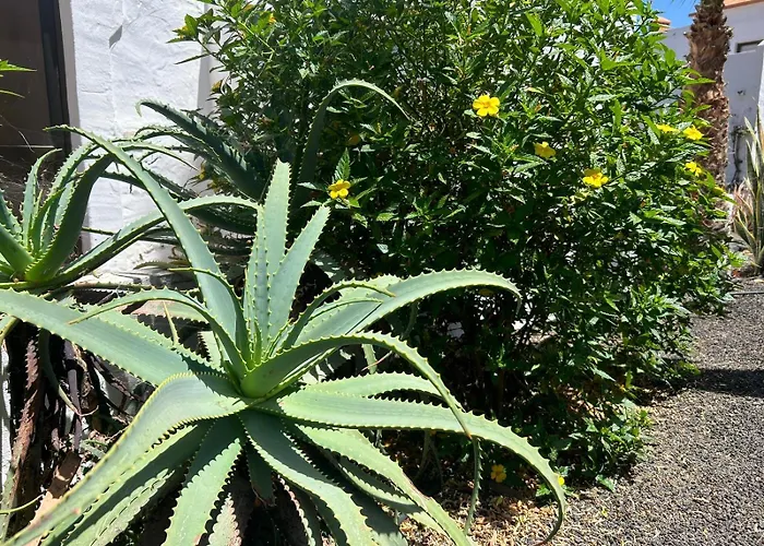 Gala Apartament Corralejo