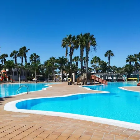 Gala Apartment